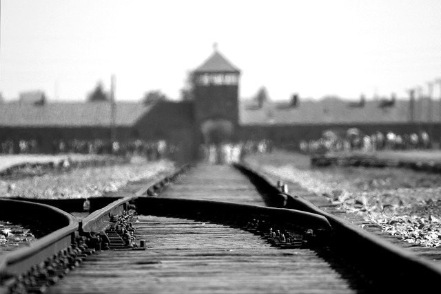 Essays_foto van Birkenau